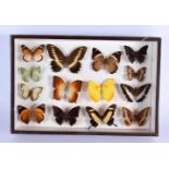 A CASED SET OF EARLY 20TH CENTURY BUTTERFLY SPECIMENS Attributed to Dayrolle, Paris. 38 cm x 24 cm.