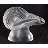 A FRENCH LALIQUE GLASS FIGURE OF A RAM. 20 cm x 17 cm.