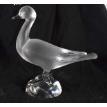 A LARGE FRENCH LALIQUE GLASS FIGURE OF A DUCK modelled upon a naturalistic base. 25 cm x 18 cm.