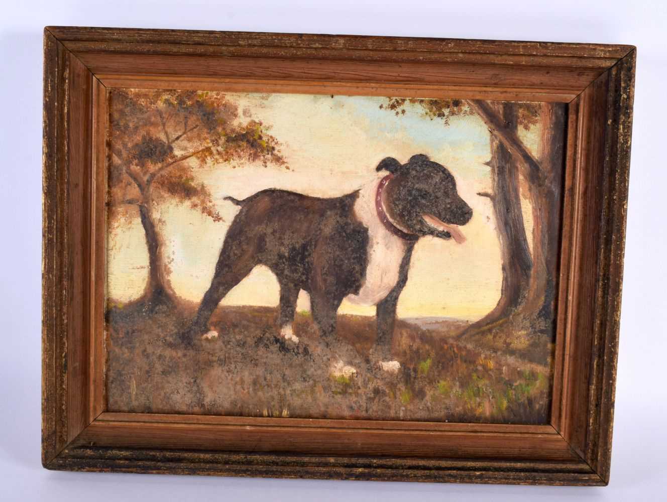 English School (C1920) Folk Art, Oil on board, Standing dog. 44 cm x 34 cm.