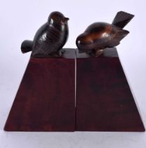 A CHARMING PAIR OF ART DECO CARVED ROSEWOOD AND FRUITWOOD FIGURES OF STYLISED BIRDS modelled upon