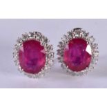 A PAIR OF 14CT WHITE GOLD EARRINGS SET WITH A RUBY SURROUNDED BY A DIAMOND BEZEL. STAMPED 14k 585,