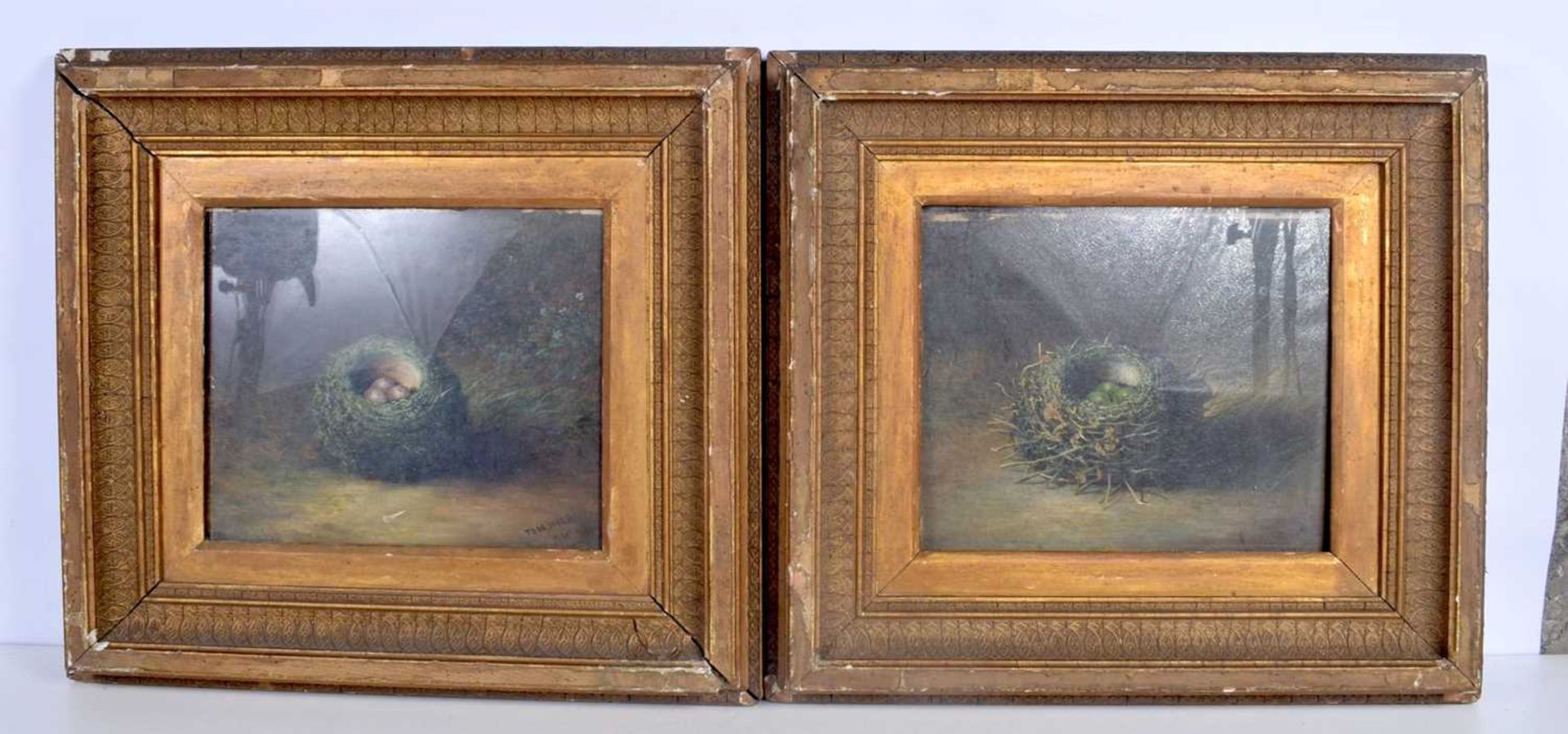 Tom Hold (19th Century British) Pair of Oil on board depicting birds nests 25 x 30 cm (2).