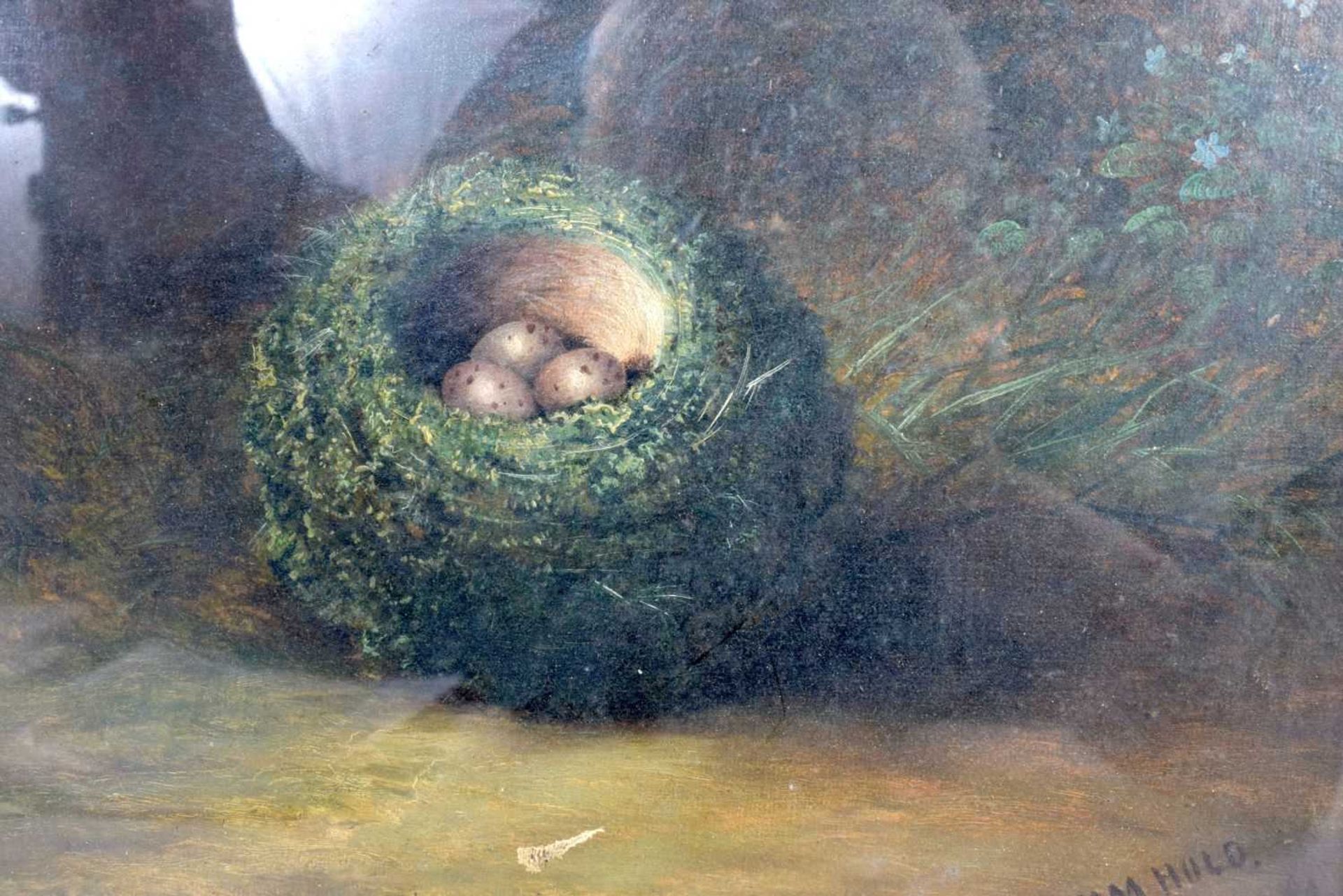 Tom Hold (19th Century British) Pair of Oil on board depicting birds nests 25 x 30 cm (2). - Image 3 of 4