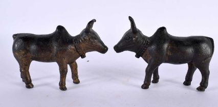 A PAIR OF 18TH/19TH CENTURY INDIAN BRONZE FIGURES OF NANDI BULLS modelled roaming. 11cm x 8 cm.