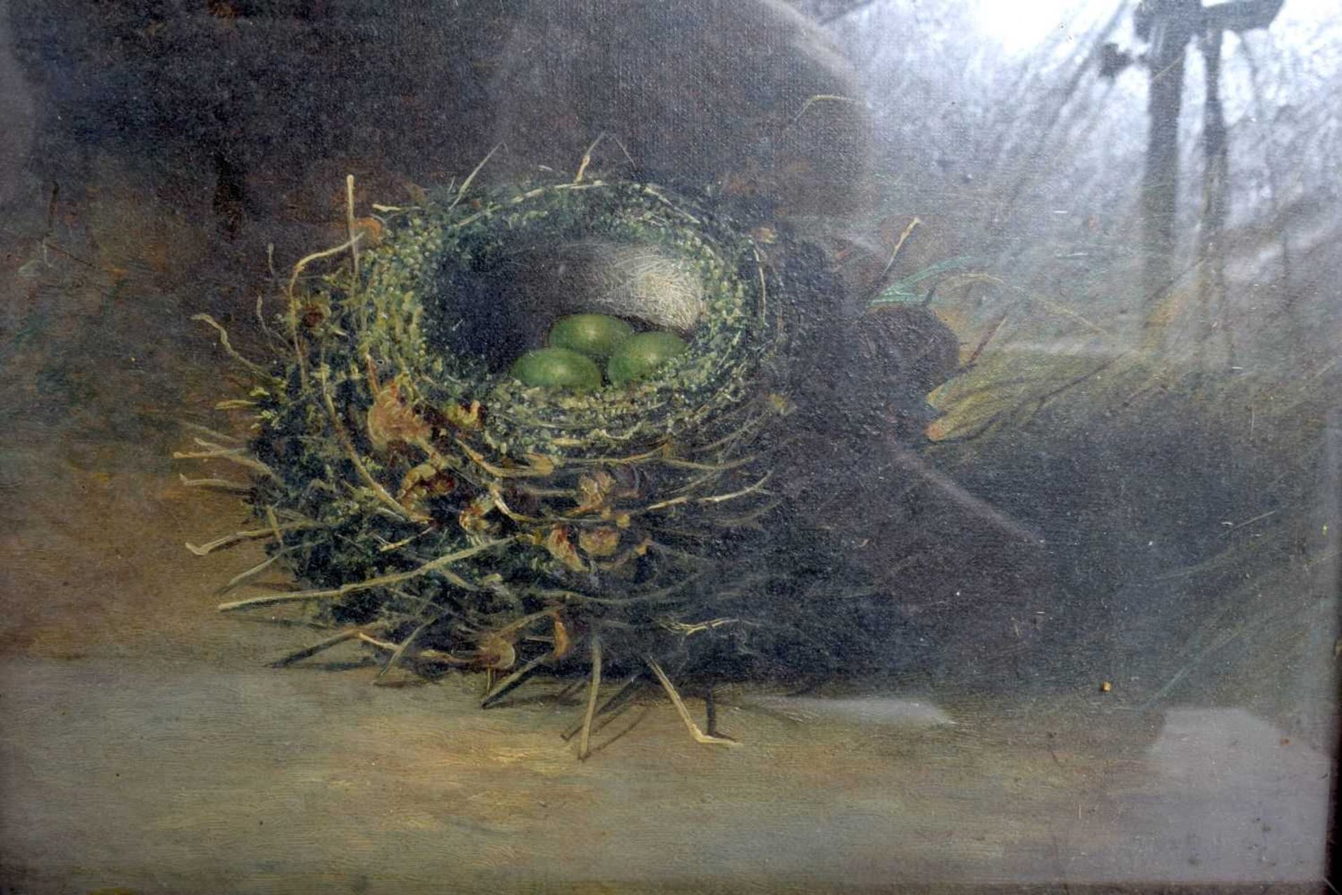 Tom Hold (19th Century British) Pair of Oil on board depicting birds nests 25 x 30 cm (2). - Image 2 of 4