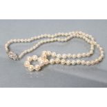 A SINGLE STRING OF CULTURED PEARLS, the graduated pearls knotted to an unmarked white metal lobed