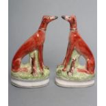 A PAIR OF LATE VICTORIAN STAFFORDSHIRE POTTERY SEATED GREYHOUNDS with free standing fore-legs and