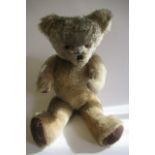 A large old growling teddy bear, with jointed body, amber glass eyes, sewn nose, orange plush and