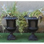 A PAIR OF CAST IRON URNS of half fluted campana form with ovolu rims, waisted socle and square base,