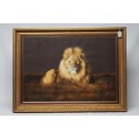 JOHN MOULD (b.1958) A Lion Resting, oil on board, signed, 20 1/2" x 29 1/2", gilt frame (subject