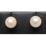 A PAIR OF CULTURED PEARL EAR STUDS, the pale champagne coloured pearls set to unmarked posts with