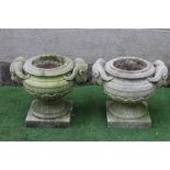 A PAIR OF COMPOSITION STONE URNS, the ovoid bowls with stiff leaf banding and rams head handles,