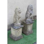A PAIR OF CAST STONE LIONS SEJANT, raised on associated flower moulded stepped square plinth, 12"