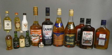 A collection of mixed spirits and liqueur, including Lambs navy rum, Classic navy rum, Napoleon