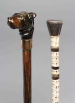 A VICTORIAN GENTLEMAN'S WALKING CANE, the horn handle carved as a dog's head with inset amber and