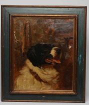 CIRCLE OF ARTHUR WARDLE (1864-1949) Portrait of a St Bernard, oil on canvas, bears signature, 24 1/