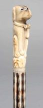 A GEORGIAN GENTLEMAN'S WALKING CANE, early 19th century, the bone handle carved as a begging dog