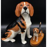 A large Beswick ceramic model of a Beagle model no. 2300 long with a Beswick 'Champion Beagle' on