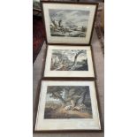 Three framed shooting prints to include: Rabbit Shooting/La Chasse aux Lapin, Snipe Shooting/ La