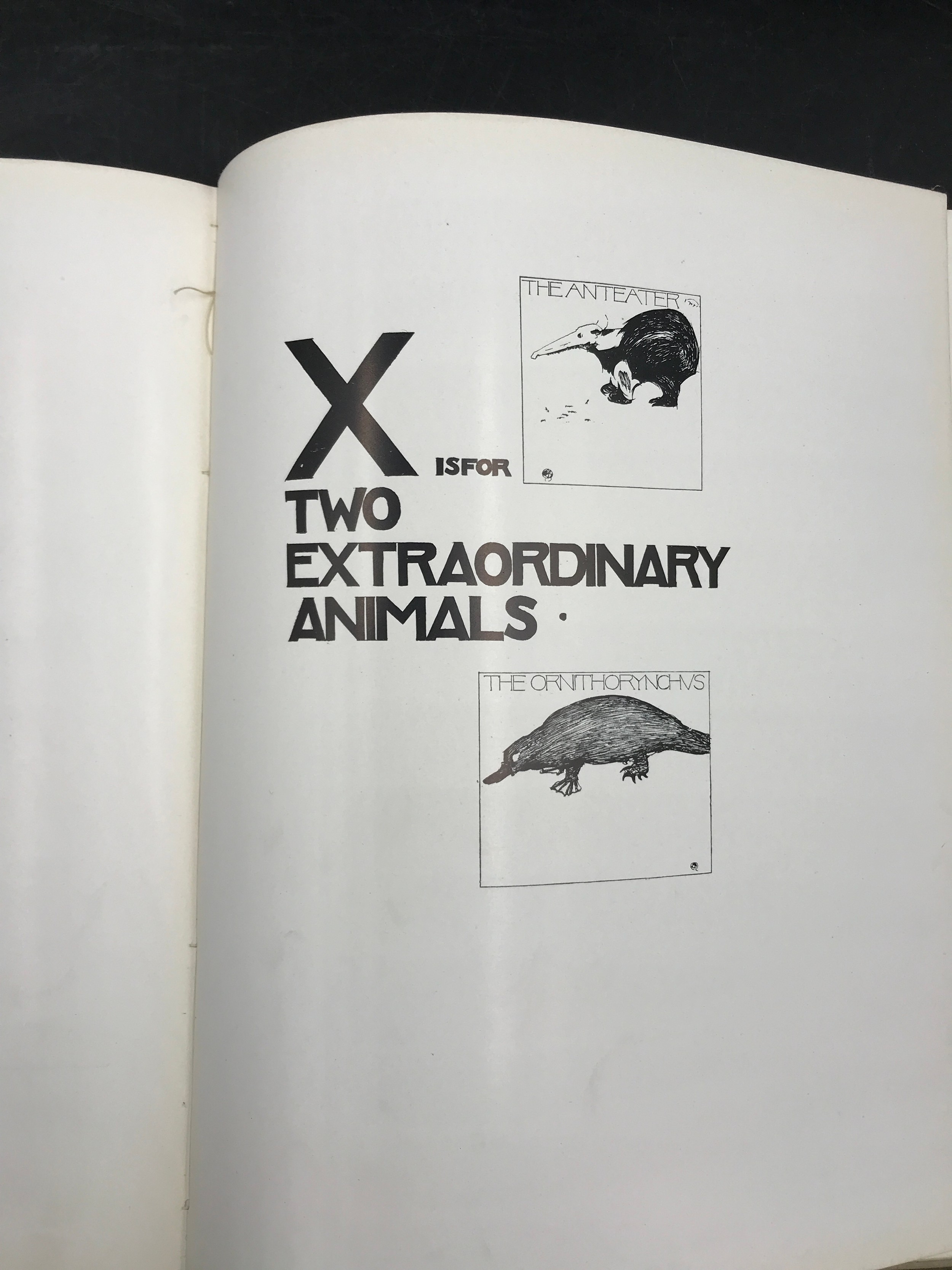 An Alphabet of Animals by Carton Moore Park, signed inside front cover by the author in 1898. - Image 10 of 11