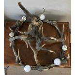 A large antler chandelier with 6 electronic bulb fixtures approx. 80h x 60cm w.