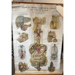 A vintage medical poster American Frohse Anatomical Charts, The Digestive System by Adam,