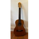 An Esteve Spanish acoustic guitar circa 1970 with white wood binding and a sapele mahogany headstock