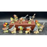 Collection of Beswick birds: blue tit, grey wagtail, 2 x nuthatch, bullfinch, goldcrest,