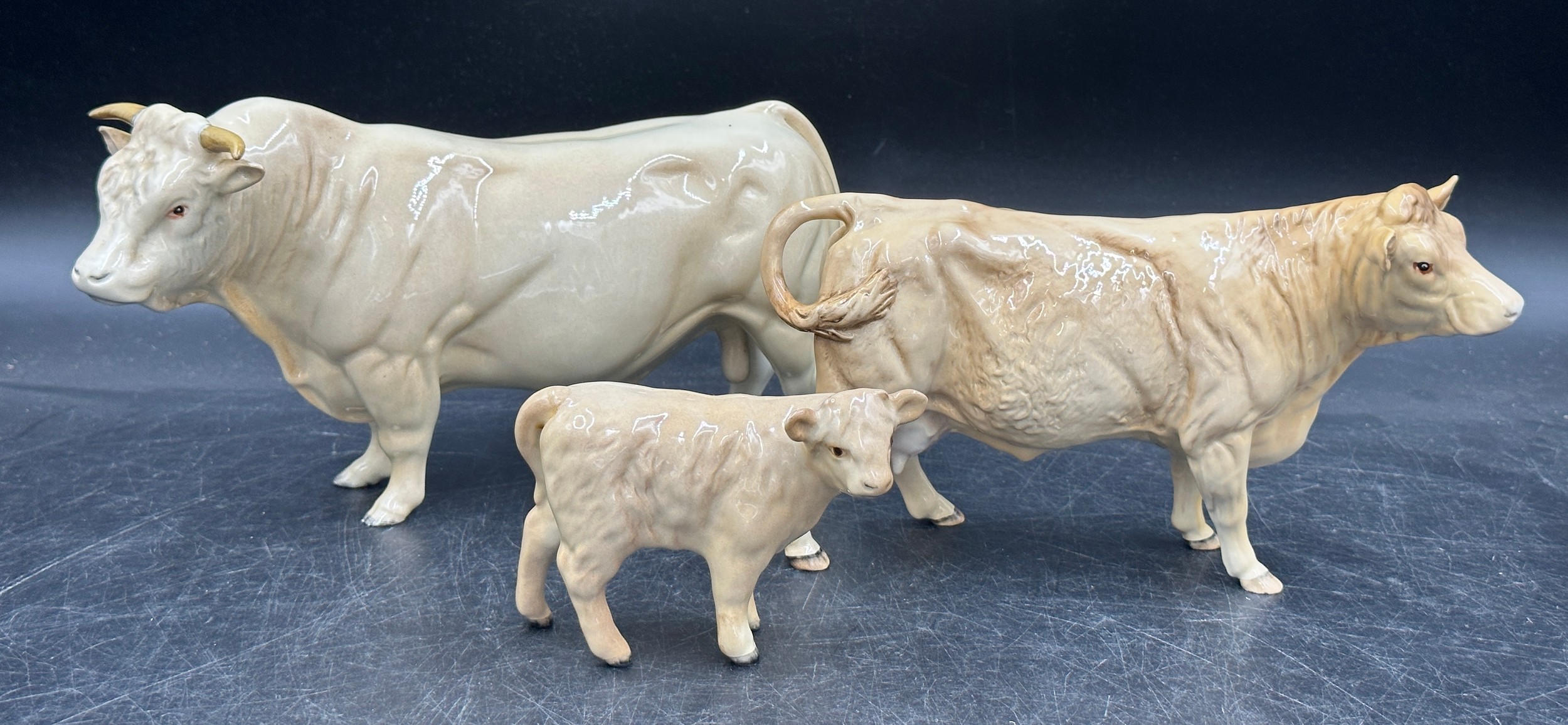 A collection of seven Beswick figures of cattle to include, a Charolais bull, cow and calf, a - Image 4 of 6