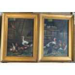 A pair of oil on board paintings depicting farmyard fowl. 36cm x 25cm. In gilt frames.