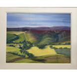 Sue Harrison, a large pastel landscape, 'High Summer, Blakey Ridge'. Image 50.5 x 66cm. Frame 85 x