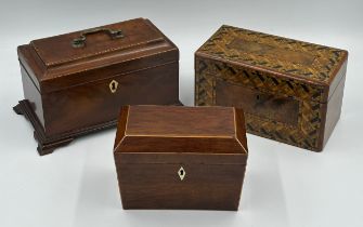 Two mahogany Georgian tea caddies with bone escutcheons and knops and a Tunbridge Ware caddy with