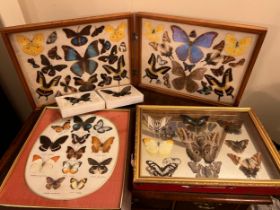 A quantity of mounted and framed butterflies. (5) The double frame 30cm x 80cm.