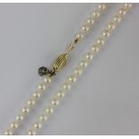 A single row necklace of uniform cultured pearls on a gold oval clasp detailed 375, a gold