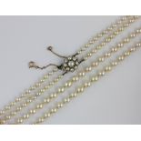 A two row necklace of graduated cultured pearls on a gold and cultured pearl cluster clasp