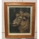 Benjamin Zobel (German, 1762-1830), a sand picture of the head of a sheep, 38cm by 31cm