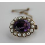 A gold amethyst and cultured pearl brooch claw set with oval cut amethyst within a surround of