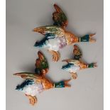 A graduated set of three Beswick flying duck mallard wall plaques, 596/1, 596/2 and 596/4, the