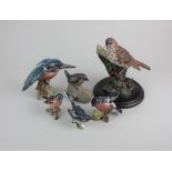 Four Beswick models of birds to include a kingfisher 2371, and a Grey Wagtail 1041, together with