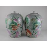 A pair of 20th century Chinese ceramic jars and covers decorated with fish amongst lily pads on
