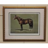 S L Crawford, racehorse, Sadler's Wells Northern Dancer - Fairy Bridge, limited edition colour
