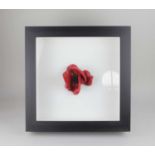 Paul Cummins and Tom Piper, an original ceramic poppy, from the art installation 'Blood Swept