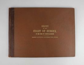 A Survey of the Coast of Sussex, In the Time of Queen Elizabeth, ed. Mark Antony Lower MA FSA, pub