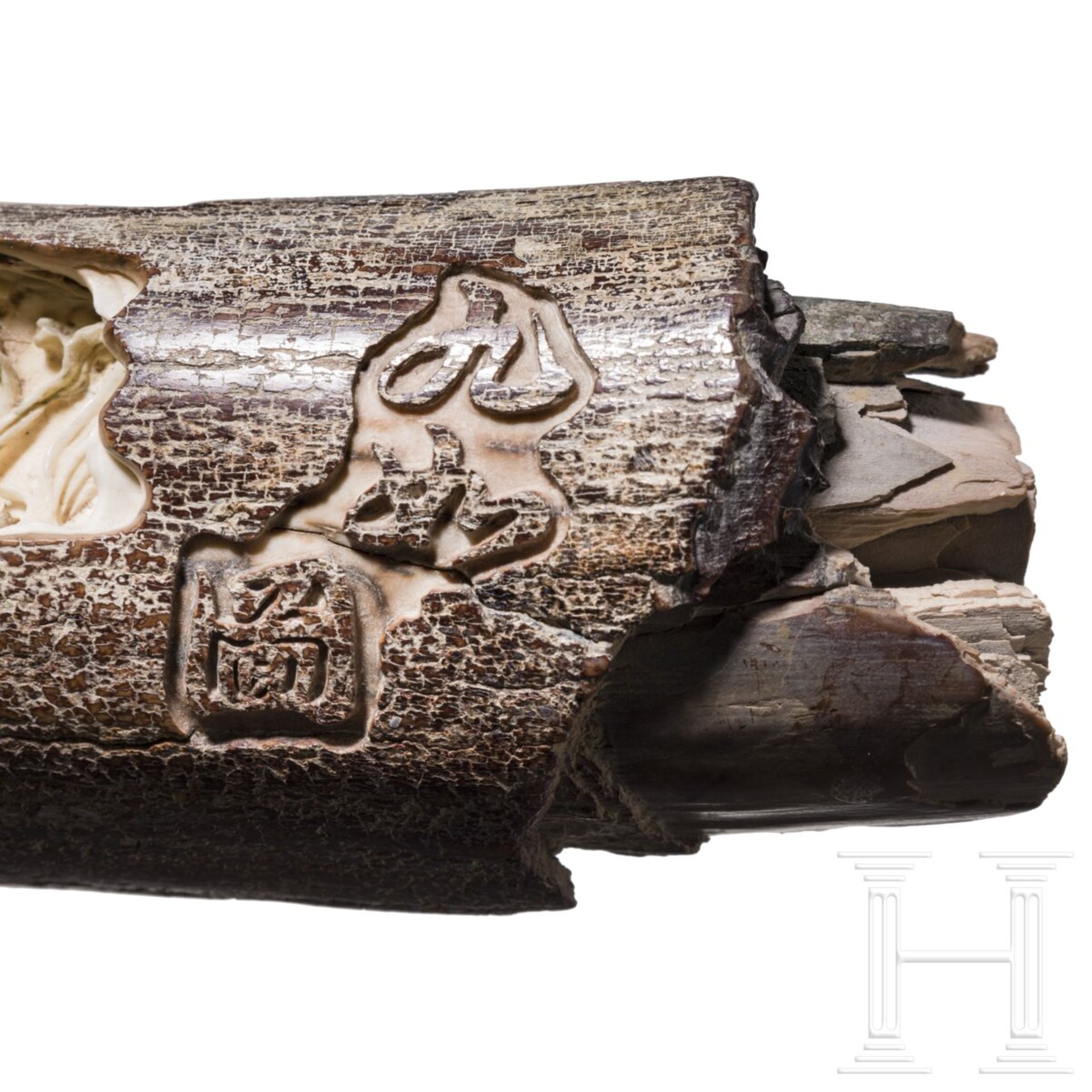 Geschnitzter Mammut-Stoßzahn mit Fischen, China, 20. Jhdt.  - Bild 3 aus 6
