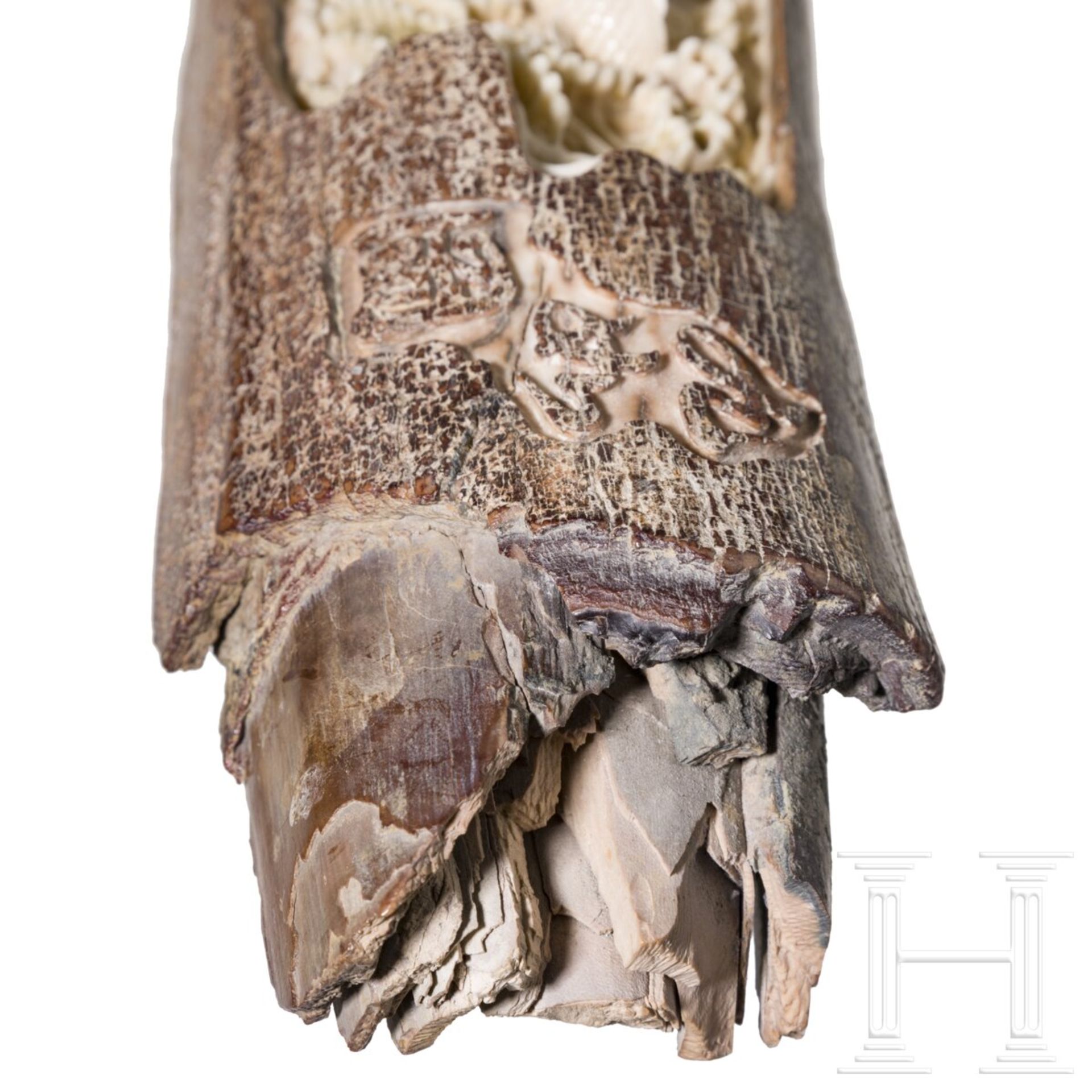 Geschnitzter Mammut-Stoßzahn mit Fischen, China, 20. Jhdt.  - Bild 6 aus 6