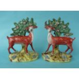 A pair of Staffordshire figures of deer depicted standing before a bocage on well painted bases
