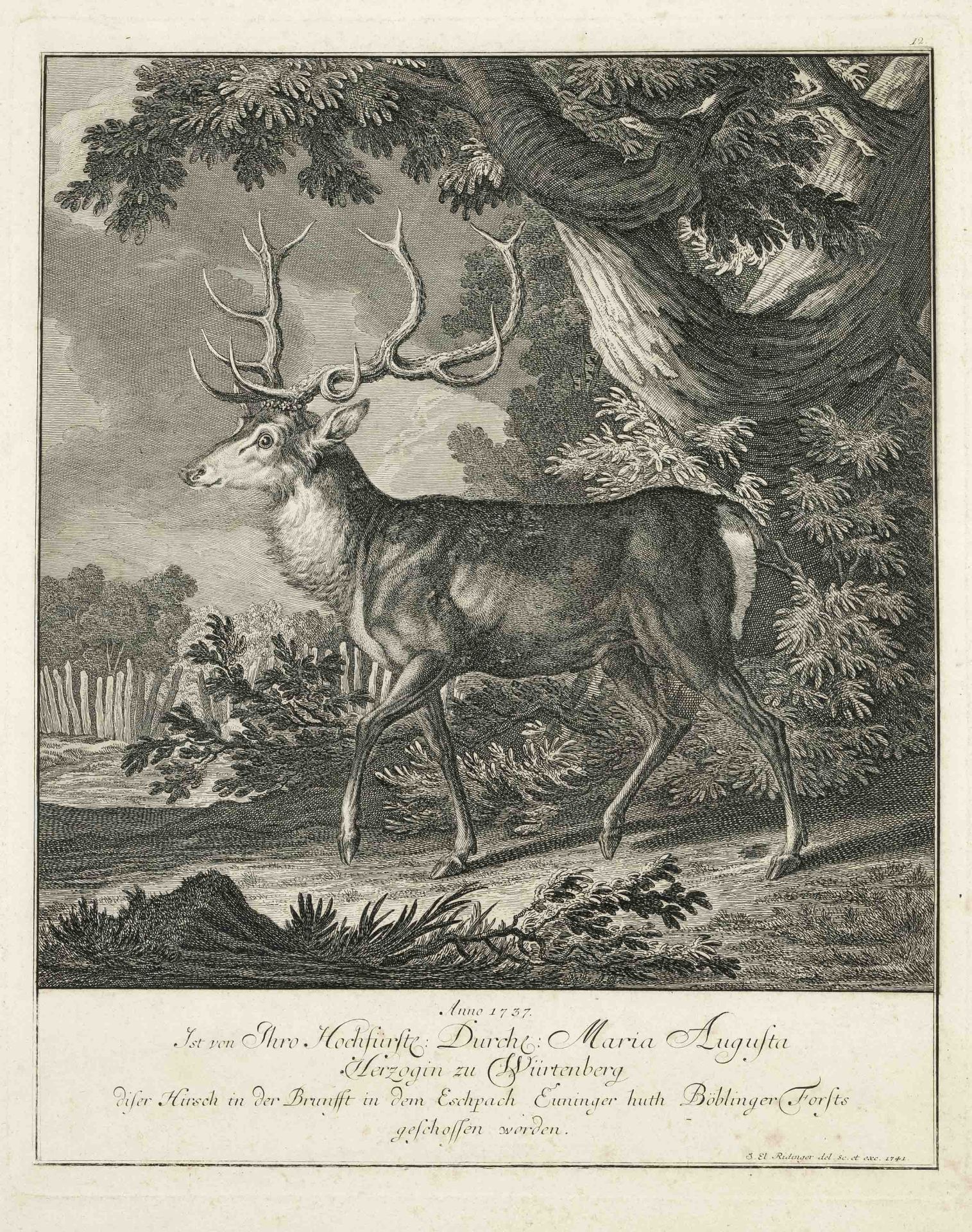 Johann Elias Ridinger (1698-17