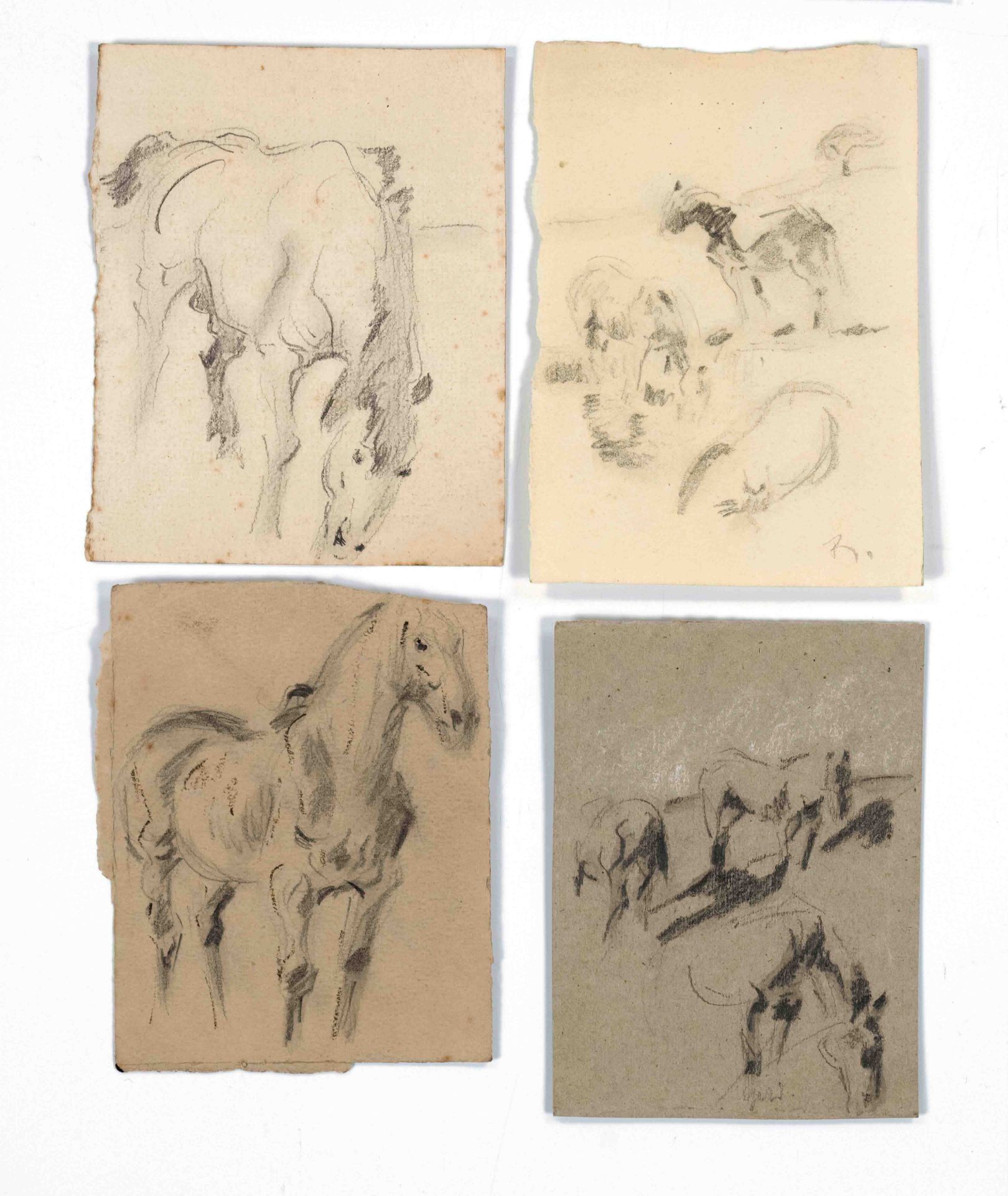 Focke, Wilhelm H. 1878 - Bremen - 1974. 9 fol. Horse studies. 1920 - 1930s. Body and movement