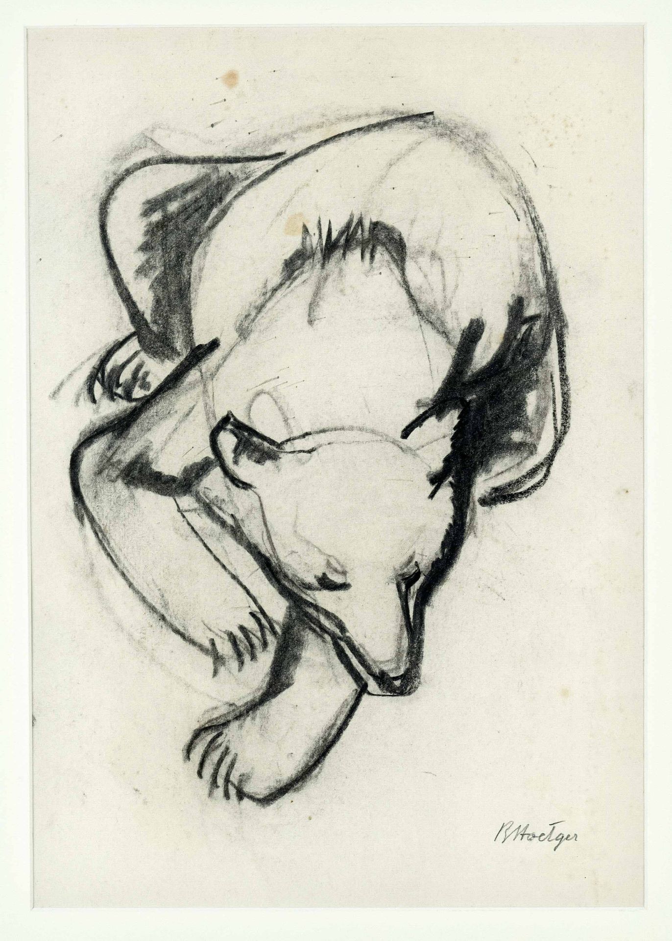 Hoetger, Bernhard. 1874 Hörde - 1949 Interlaken. Lying bear. Charcoal/paper, signed BHoetger with